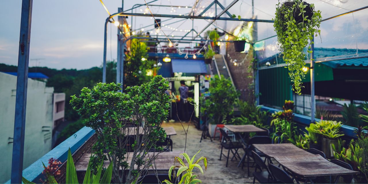 Conseil développement restauration